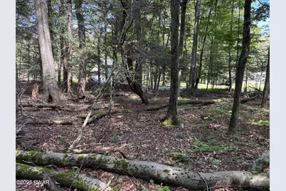 Wallenpaupack Drive, Greentown, PA 18426 - Photo 7