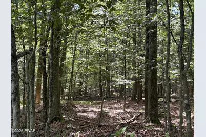 Wallenpaupack Drive, Greentown, PA 18426 - Photo 3