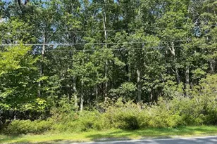 Lot 32 Maple Ridge Dr, Lords Valley, PA 18428 - Photo 1
