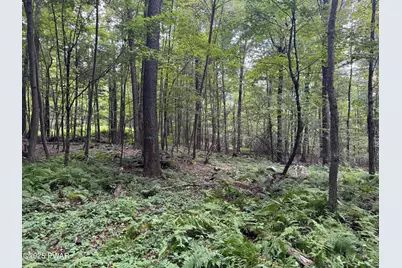 Racht Road, Honesdale, PA 18431 - Photo 1