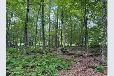 Racht Road, Honesdale, PA 18431 - Photo 3