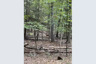 435 Autumn Court, Hawley, PA 18428 - Photo 5