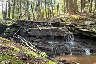 749 Rose Hill Rd, Lake Como, PA 18437 - Photo 7