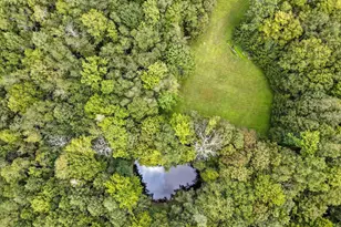 749 Rose Hill Rd, Lake Como, PA 18437 - Photo 73