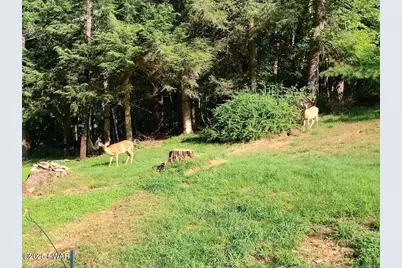 18 Elbert Behling Road, Beach Lake, PA 18405 - Photo 51