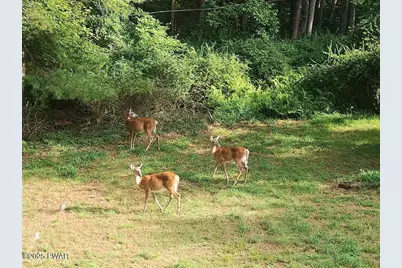 18 Elbert Behling Road, Beach Lake, PA 18405 - Photo 49