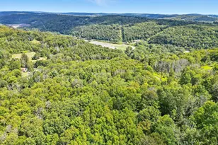 19 Bethany Turnpike, Honesdale, PA 18431 - Photo 61