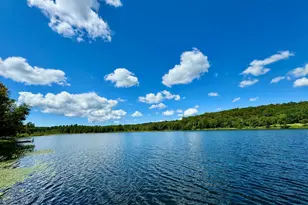 76 S Shore Rd, Pleasant Mount, PA 18453 - Photo 7