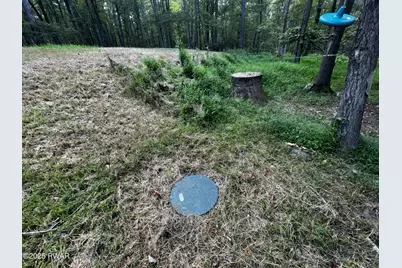 214 Lower Lakeview Drive, Hawley, PA 18428 - Photo 29