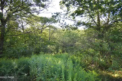 430 Flat Rock Road, Forest City, PA 18421 - Photo 9