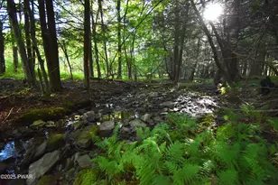 430 Flat Rock Rd, Forest City, PA 18421 - Photo 3