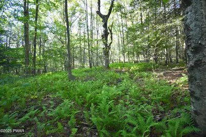 430 Flat Rock Road, Forest City, PA 18421 - Photo 5