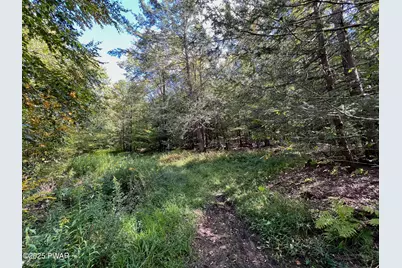 Lot 4 Skinny Dip Lane, Pleasant Mount, PA 18453 - Photo 27