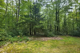 298 White Deer Lake Rd, Hawley, PA 18428 - Photo 11