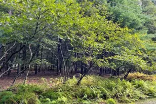 Lot 235A Hound Rd, Dingmans Ferry, PA 18328 - Photo 1