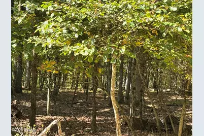 353 Westwood Lane, Hawley, PA 18428 - Photo 1