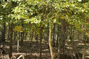 353 Westwood Ln, Hawley, PA 18428 - Photo 1