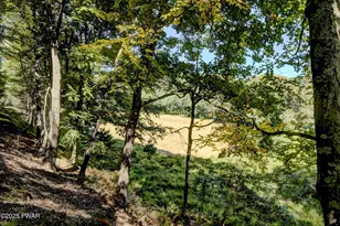 245 Lcpl Jacob Beisel Rd, Lackawaxen, PA 18435 - Photo 35