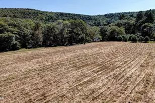 245 Lcpl Jacob Beisel Rd, Lackawaxen, PA 18435 - Photo 59