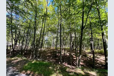 Lot 425 Corner Squirrel & Robin Lane, Dingmans Ferry, PA 18328 - Photo 3