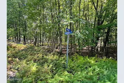 Lot 425 Corner Squirrel & Robin Lane, Dingmans Ferry, PA 18328 - Photo 1