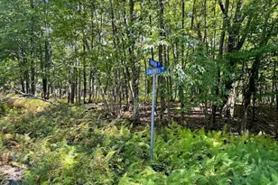 Lot 425 Corner Squirrel & Robin Ln, Dingmans Ferry, PA 18328 - Photo 1