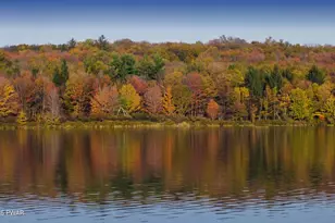 115 Middle Rd, Greentown, PA 18426 - Photo 55