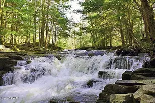 115 Middle Rd, Greentown, PA 18426 - Photo 47