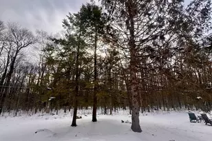 115 Middle Rd, Greentown, PA 18426 - Photo 43