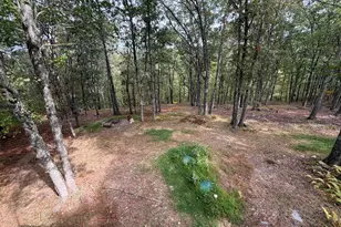 1114 Grouse Ct, Bushkill, PA 18324 - Photo 21