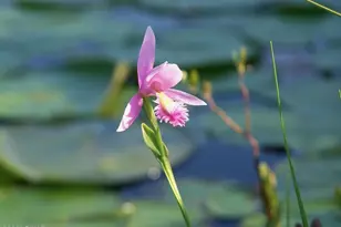 23 Little Spruce Ln Ln, Lakewood, PA 18439 - Photo 45