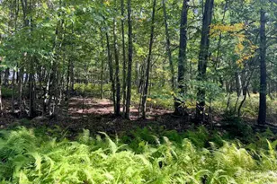 Lot 427 Squirrel Rd, Dingmans Ferry, PA 18328 - Photo 1