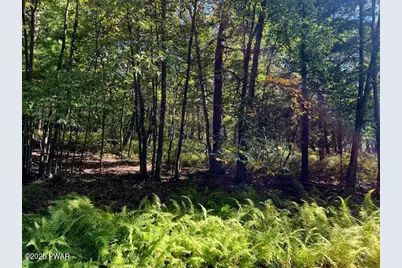 Lot 427 Squirrel Road, Dingmans Ferry, PA 18328 - Photo 3