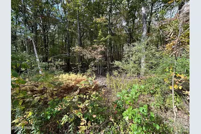 120 Basswood Drive, Lords Valley, PA 18428 - Photo 7