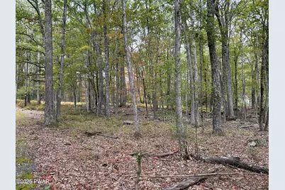 120 Basswood Drive, Lords Valley, PA 18428 - Photo 11