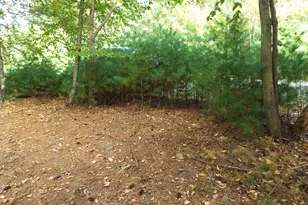 103 Doe Dr, Dingmans Ferry, PA 18328 - Photo 19