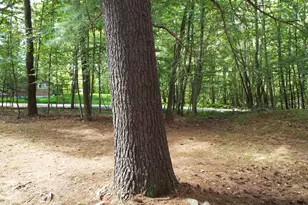 103 Doe Dr, Dingmans Ferry, PA 18328 - Photo 21