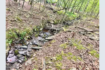 66 Blue Aspen Drive, Milford, PA 18337 - Photo 17