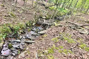 66 Blue Aspen Dr, Milford, PA 18337 - Photo 17