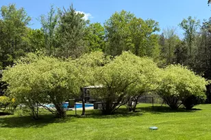 321 Hemlock Dr, Lake Ariel, PA 18436 - Photo 35