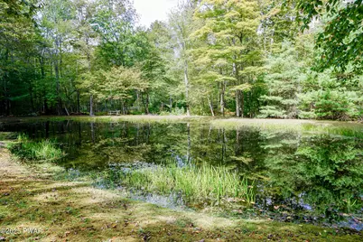 146 Spencer Road, Dingmans Ferry, PA 18328 - Photo 3