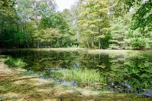 146 Spencer Rd, Dingmans Ferry, PA 18328 - Photo 3