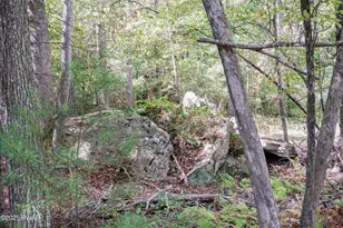 146 Spencer Rd, Dingmans Ferry, PA 18328 - Photo 35