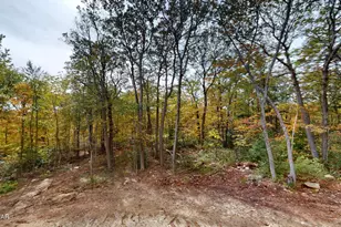 99 Woodland Drive, Jefferson Township, PA 18436 - Photo 19