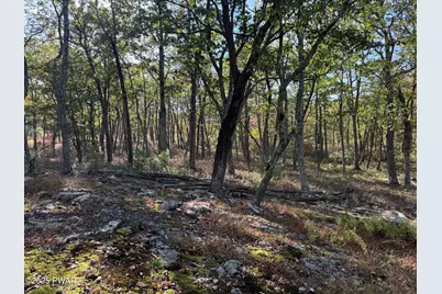 Mountain Top Dr Drive, Dingmans Ferry, PA 18328 - Photo 7