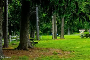 926 Rt 390, Greentown, PA 18426 - Photo 31