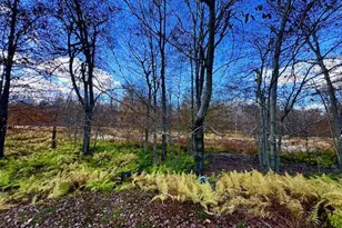1008 Woodstone Rd, Newfoundland, PA 18445 - Photo 25