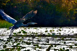 1008 Woodstone Rd, Newfoundland, PA 18445 - Photo 31