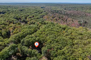 3176 Bluebird Dr, Bushkill, PA 18324 - Photo 49