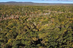 115 Canyon Dr, Lords Valley, PA 18428 - Photo 73